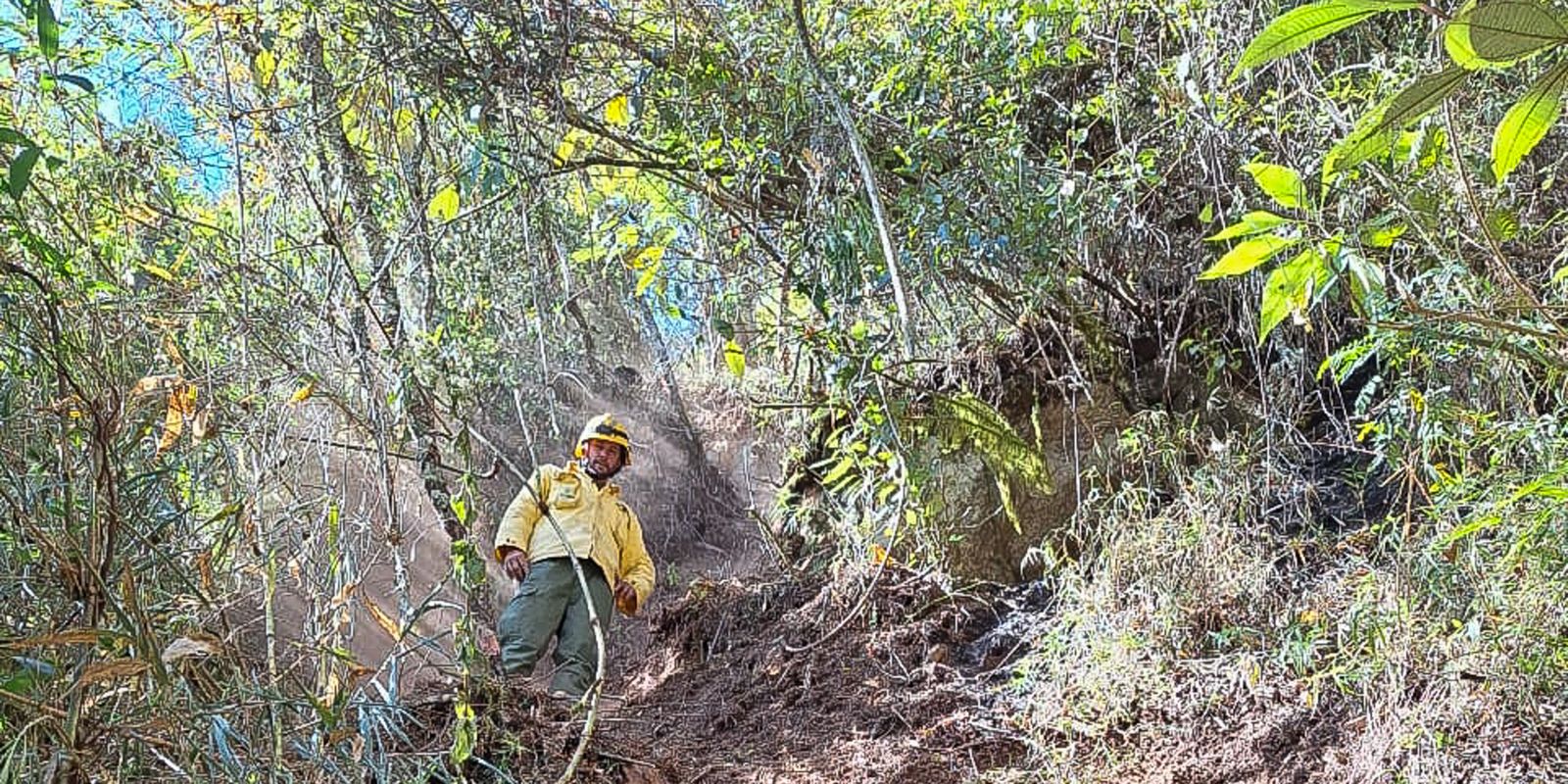 ICMBio multa Exército em 6,5 milhões por incêndio em parque