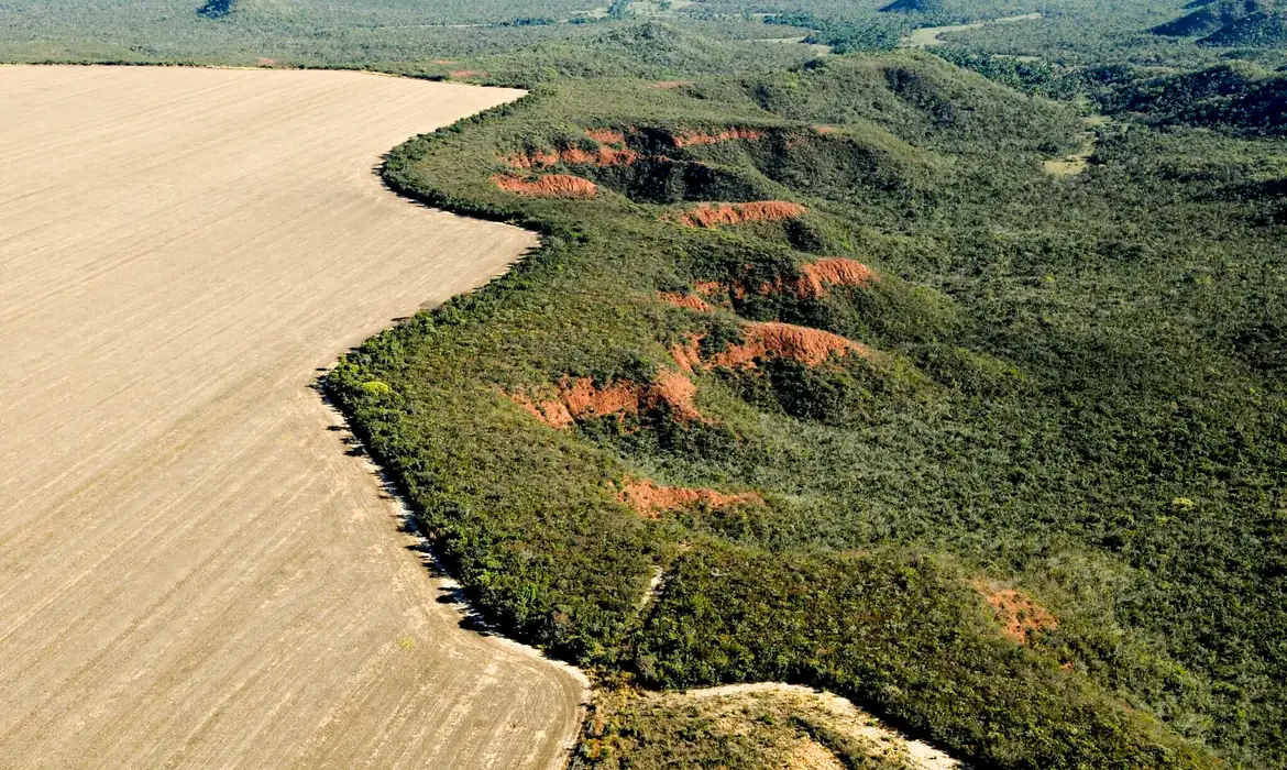 Cerrado: desmatamento emite 135 milhões de toneladas de CO2 desde 2023