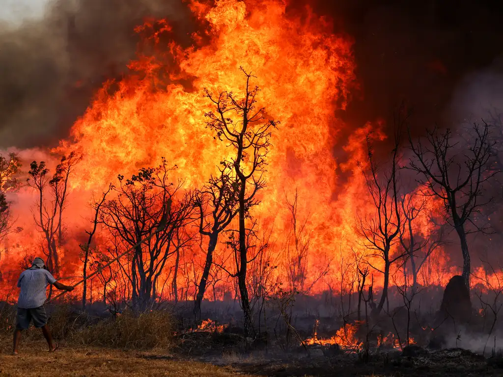 INPE: Incêndios no Brasil aumentam 76% em comparação a 2023