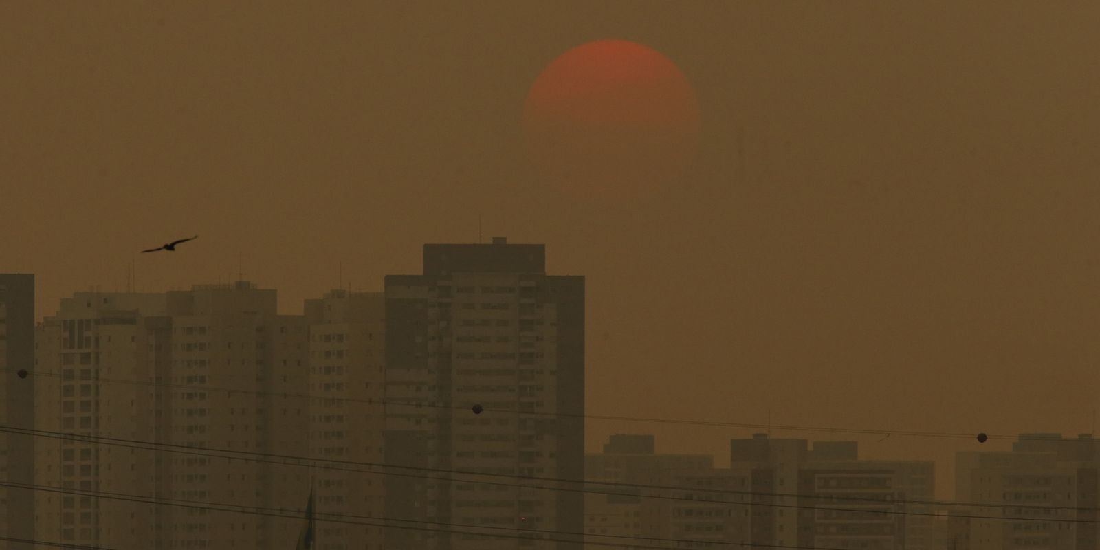 COP29: Brasil apresenta nova meta de reduzir emissões em 67% até 2035