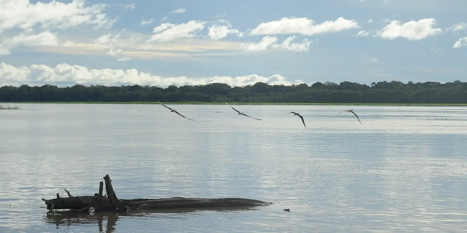 Seca: governo paga auxílio para pescadores da Região Norte