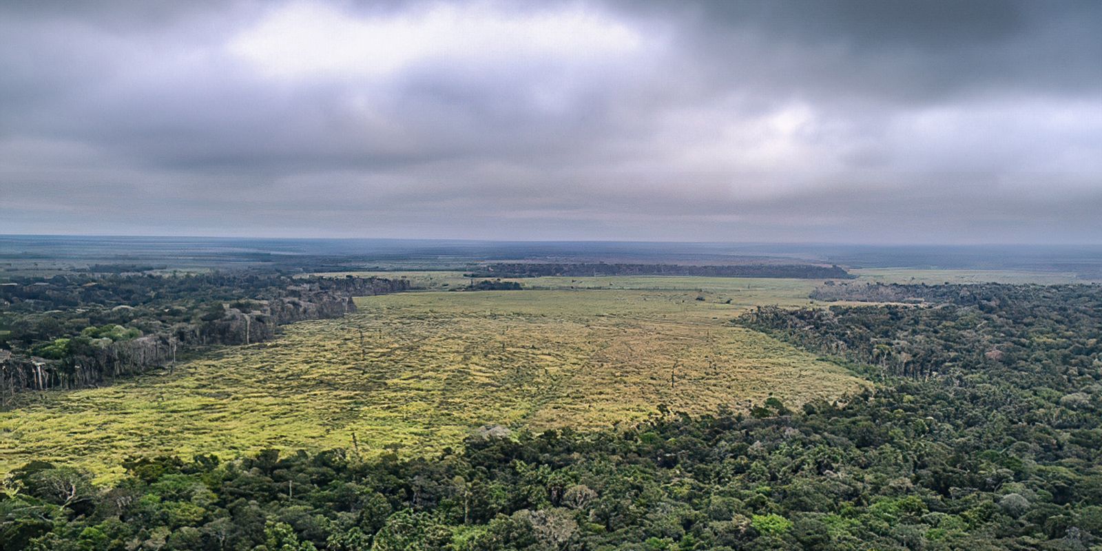 Mato Grosso aprova leis ambientais contrárias à legislação federal