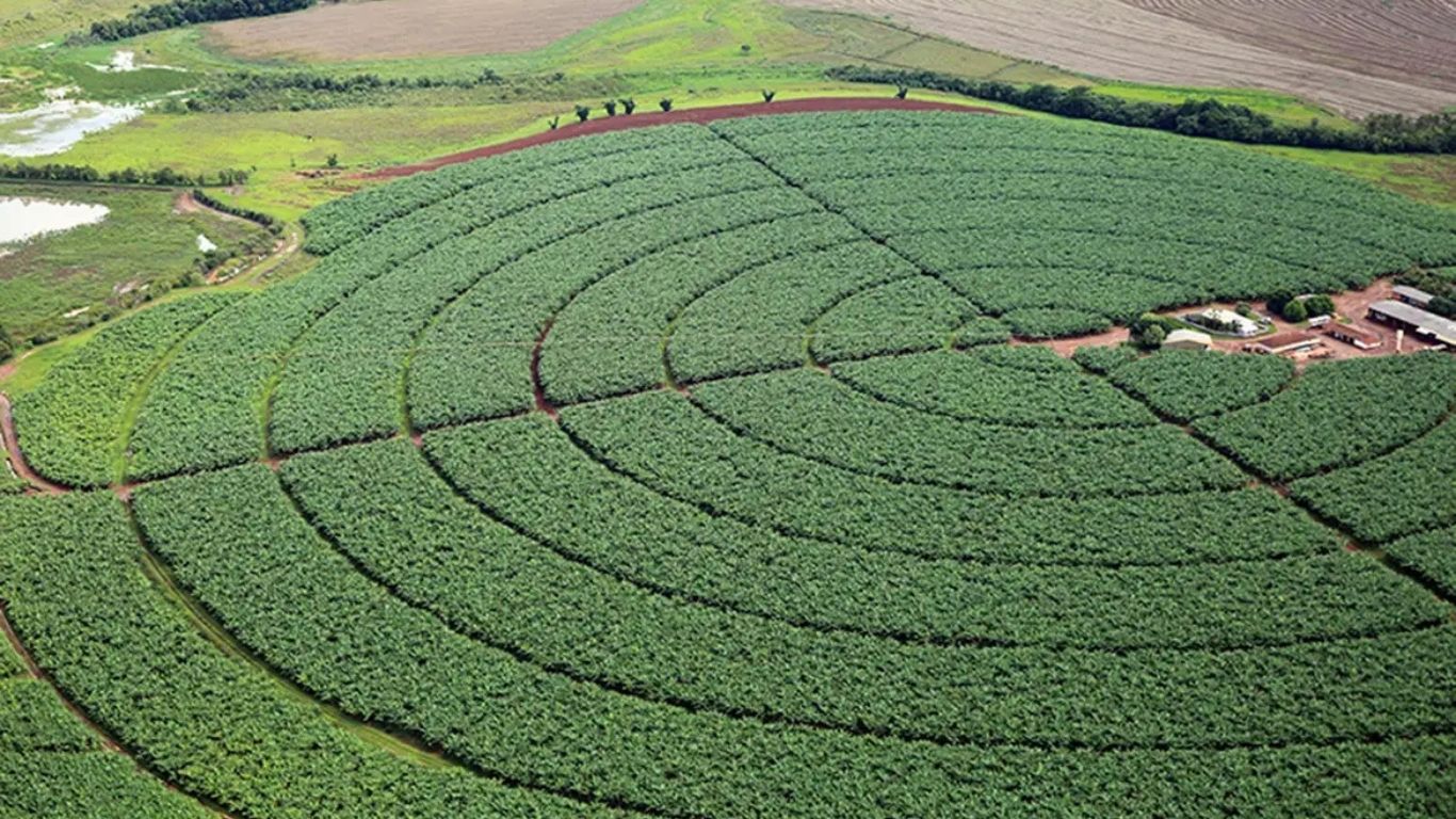 5º Congresso Brasileiro de Direito do Agronegócio será no dia 31 de março e as inscrições estão abertas