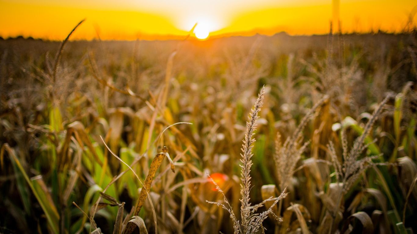 Pinheiro Neto assessora emissão de CRA pela Agrícola Panorama