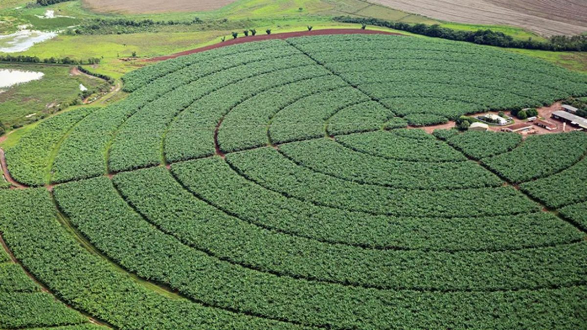 O impacto da reforma tributária no agronegócio brasileiro