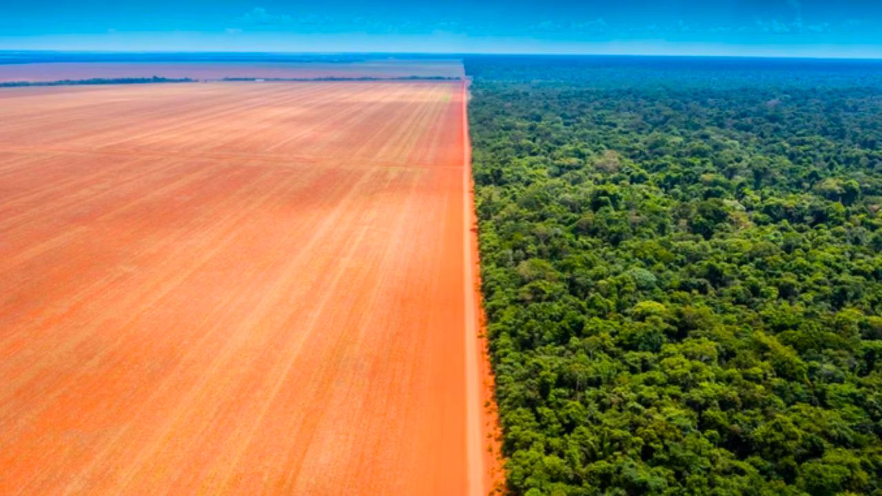 Congresso debate projeto que pode recuperar 12 milhões de hectares de área florestal e vegetação nativa do Brasil até 2030
