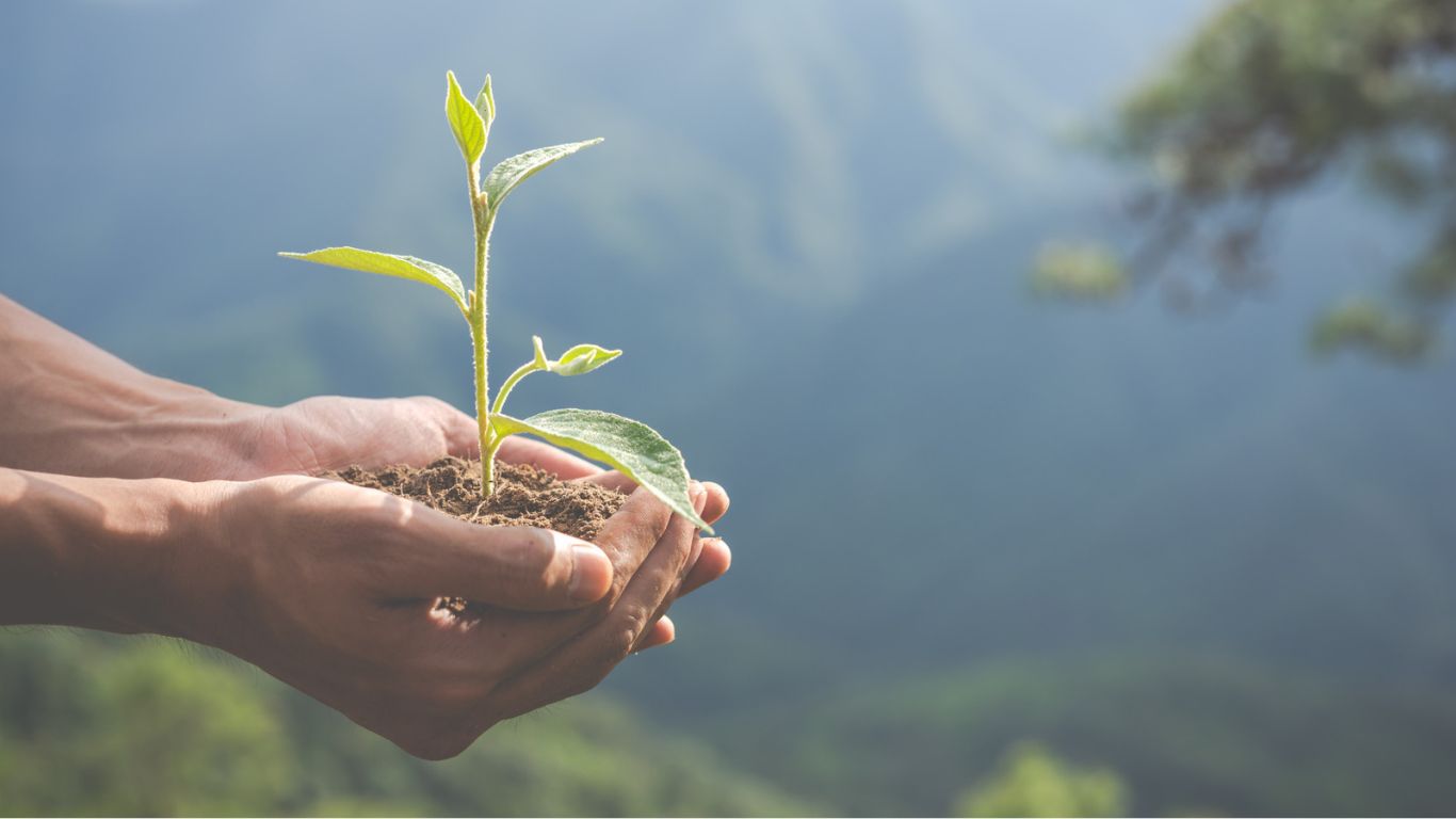 Advocacia em transição: como os escritórios se reinventam para liderar a nova agenda ambiental e climática