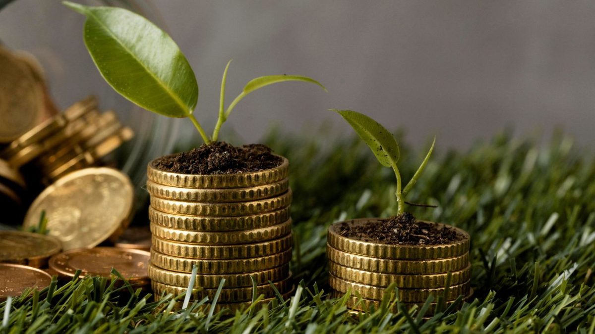CMN amplia uso de fundos de investimento em financiamento sustentável