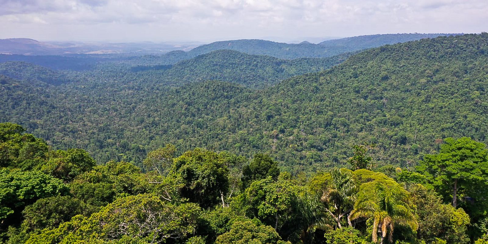 Edital incentiva pesquisas para novos modelos econômicos sustentáveis na Amazônia