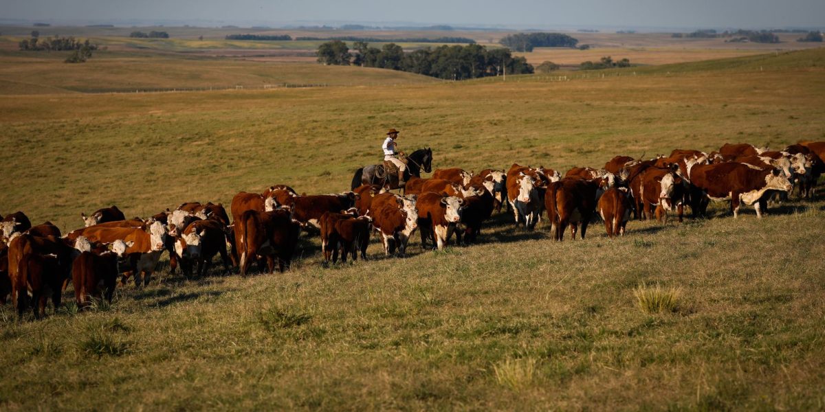 PIB cresce 1,4% no 1º trimestre, com destaque para agro e serviços, aponta IBGE