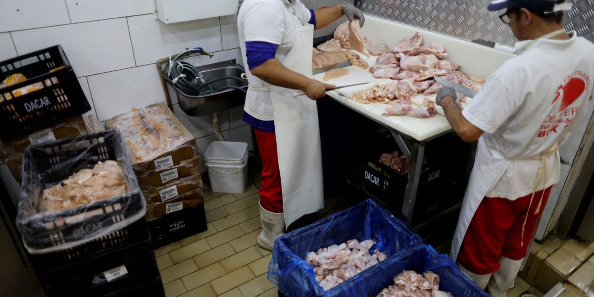 Começa prazo para Brasil ficar livre da gripe aviária