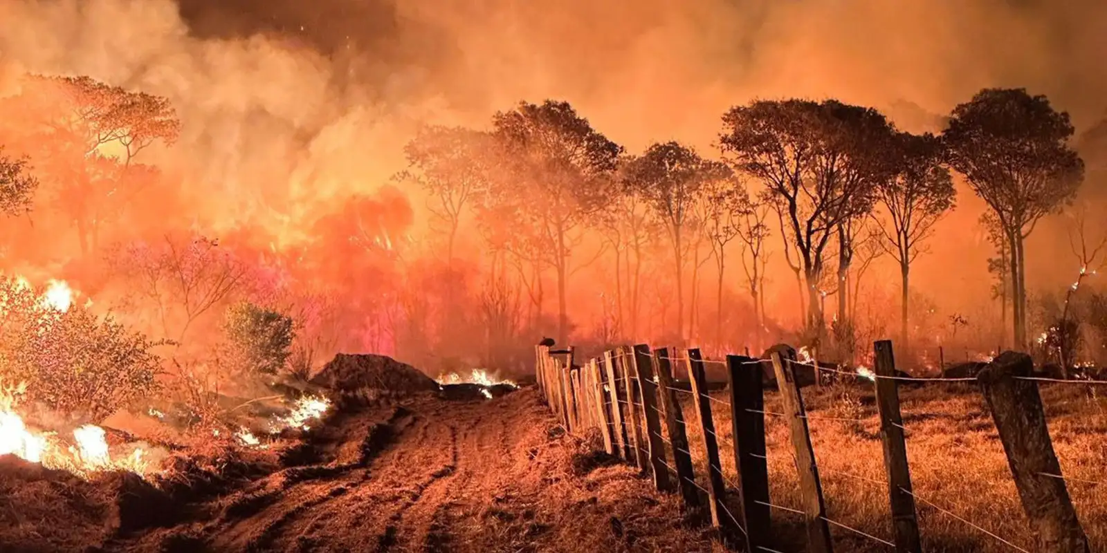 PF intensifica ações contra crimes ambientais com a Operação Incêndios 2025