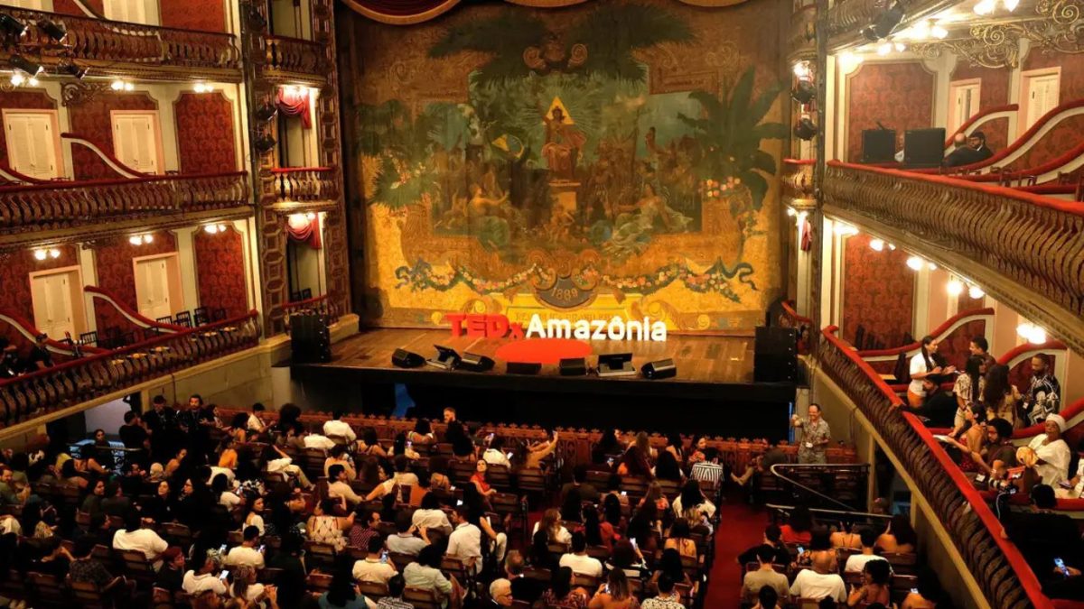 Em ano de COP30, evento em Belém debate restauração da Amazônia