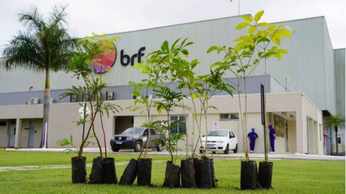 Justiça condena BRF após trabalhadora perder gêmeas durante expediente em MT