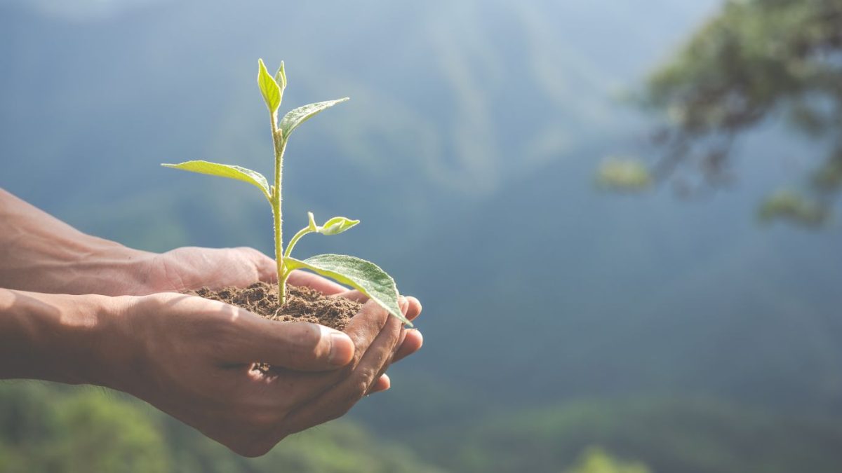 A reforma tributária como defesa do meio ambiente