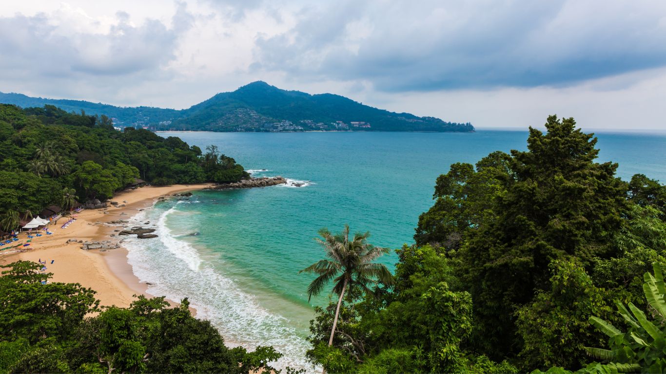 Justiça determina que pousada terá que fazer compensação ambiental por desmatamento em área protegida em Ubatuba