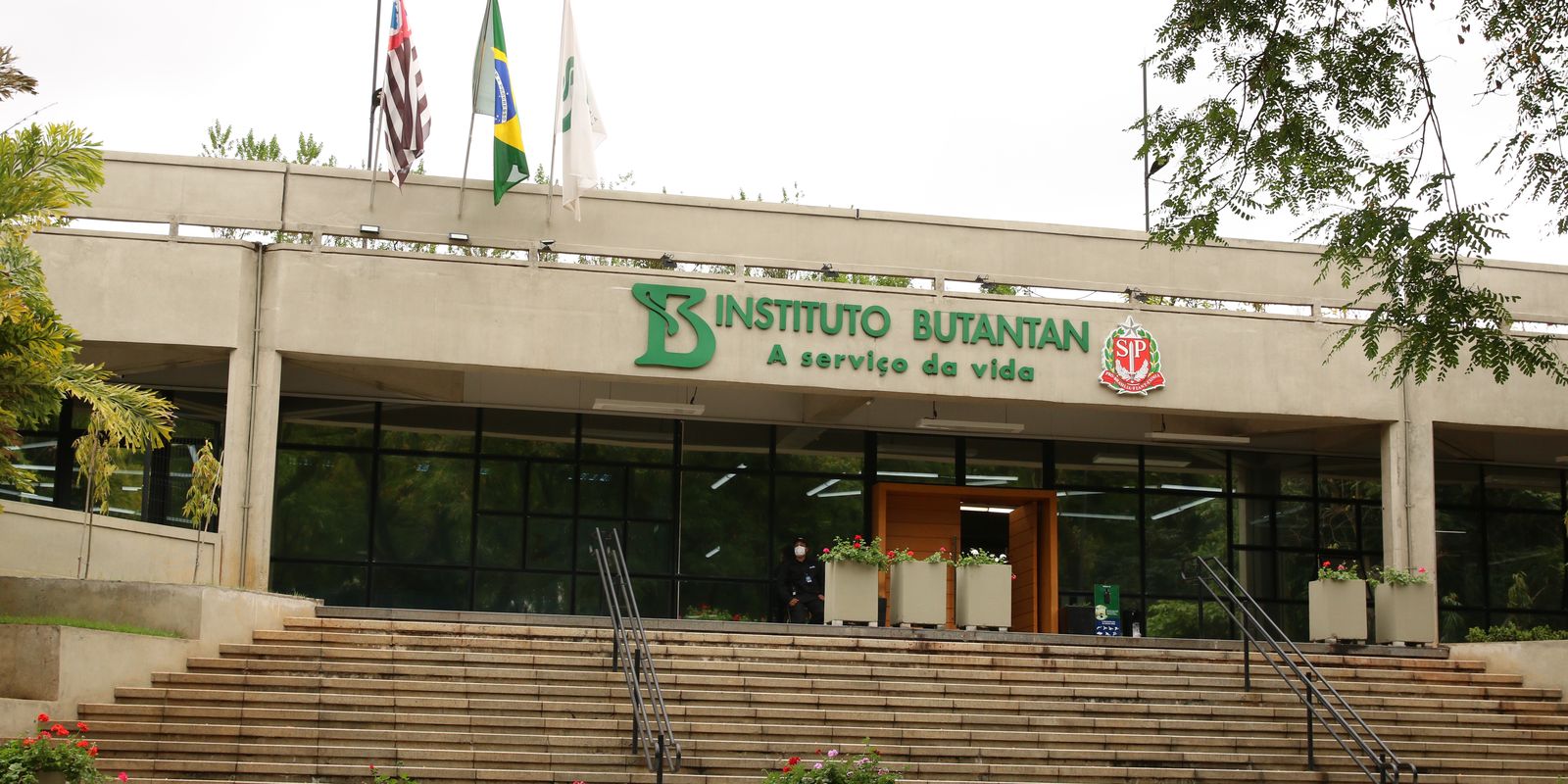 Butantan testa primeira vacina brasileira contra gripe aviária em humanos