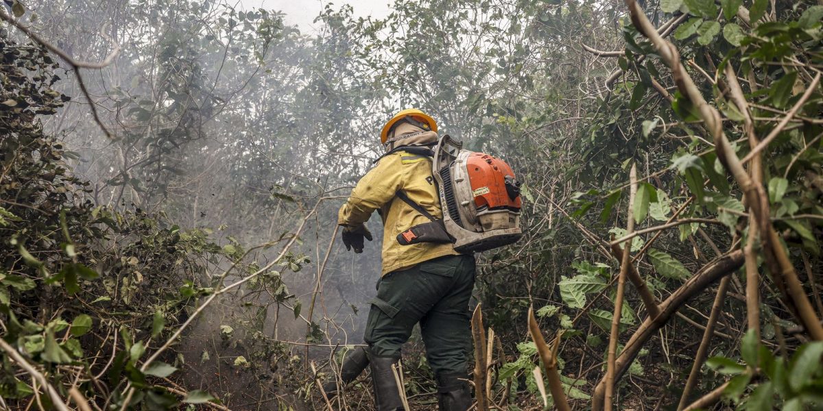 Fundo Amazônia poderá financiar combate a incêndios no Cerrado e no Pantanal