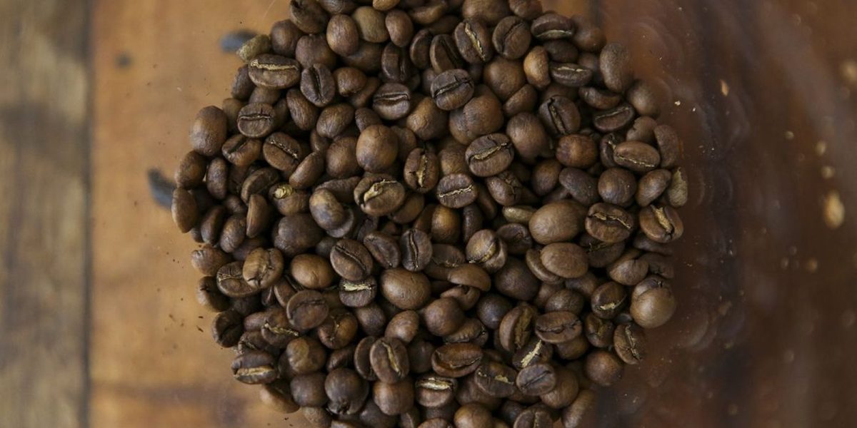 Tarifa de 50% imposta por Trump pode impactar vendas de suco de laranja, café, carne e frutas