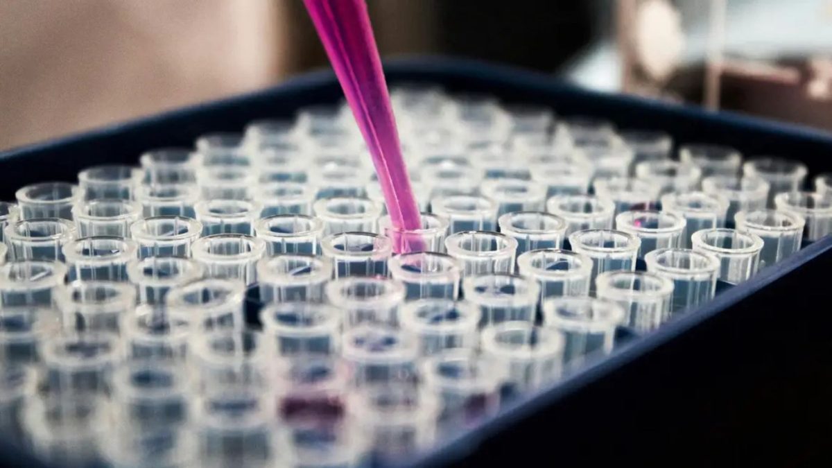 Justiça obriga plano de saúde a custear congelamento de óvulos de paciente com câncer