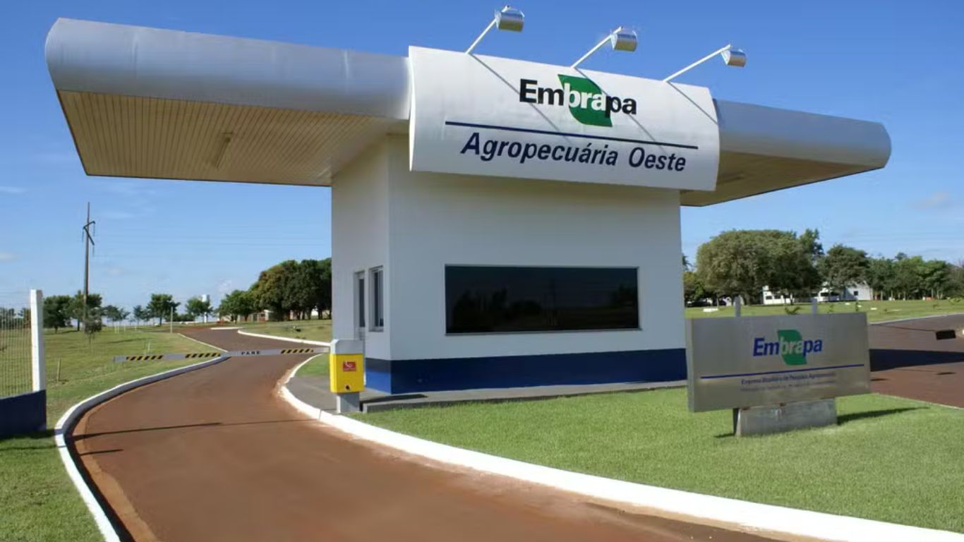 Embrapa lança o RAImundo: inteligência artificial que oferece orientações agrícolas e suporte técnico por meio de WhatsApp