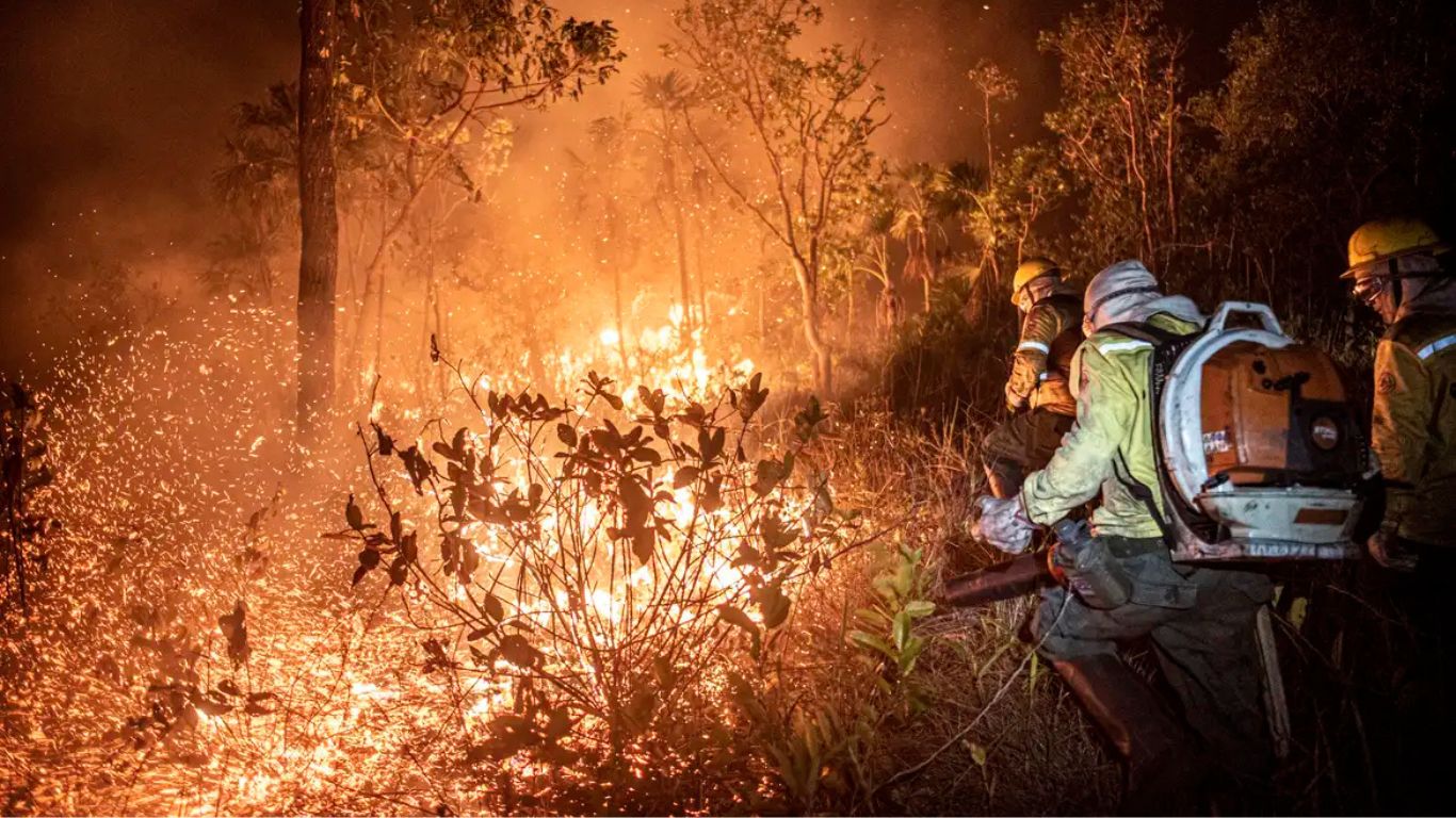 Governo federal prorroga atuação da Força Nacional na Amazônia Legal e no Pantanal por mais 90 dias