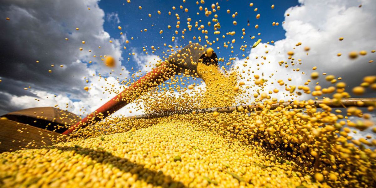 Safra 2024/25 bate recorde e Brasil colhe 350,2 milhões de toneladas de grãos