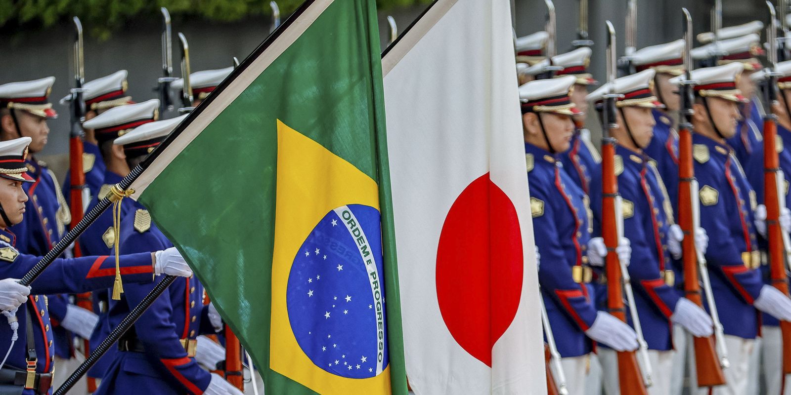 Brasil amplia acesso ao mercado japonês com exportação de gorduras animais para ração e pet food
