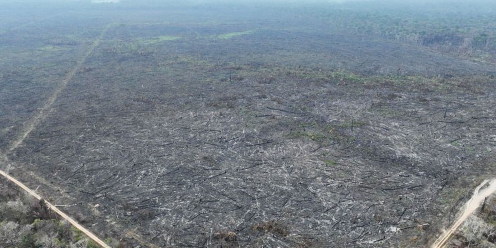 Inpe mostra que áreas desmatadas da Amazônia aquecem até 3°C na seca