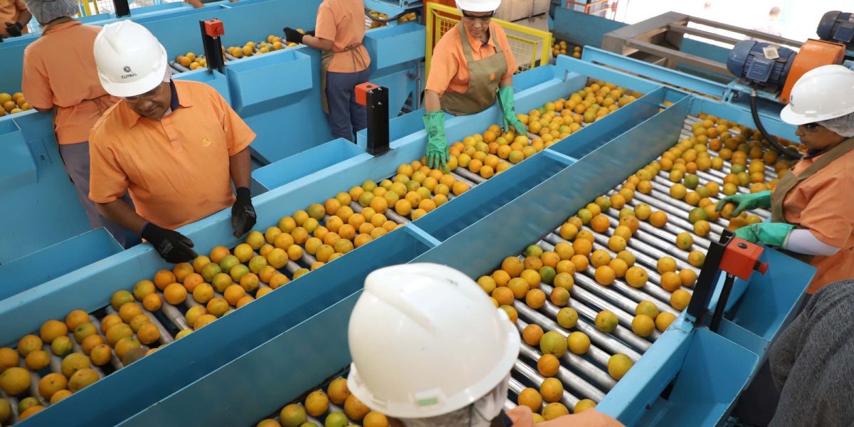 Produtos atingidos por tarifaço dos EUA têm redução das exportações em 22%