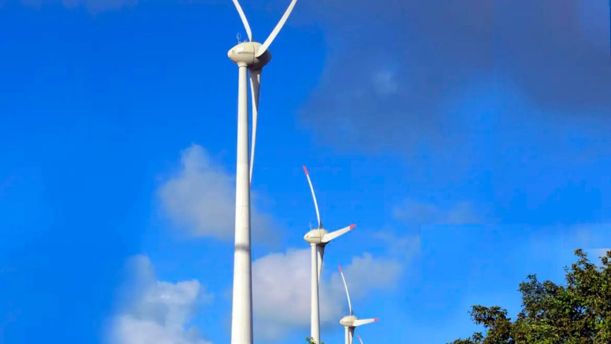 Machado Meyer e Madrona atuam em parceria de energia eólica BRF-Auren