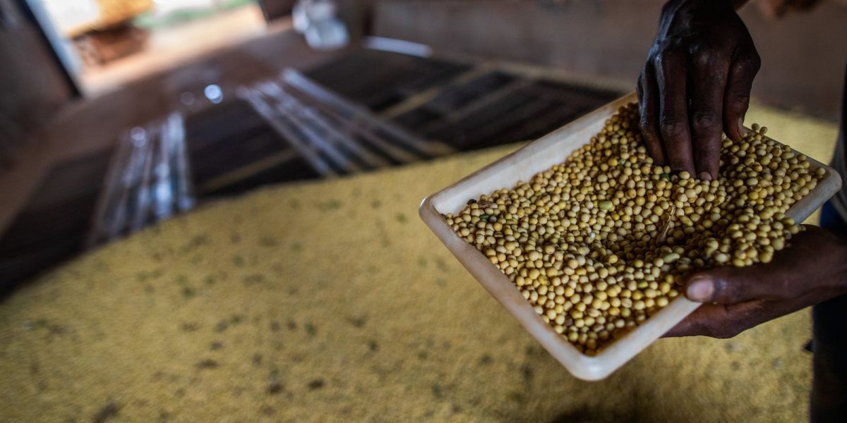 Sorriso lidera ranking do agronegócio brasileiro com R$ 7,2 bilhões em produção agrícola