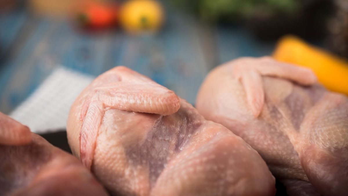 União Europeia libera frango brasileiro após reconhecer país livre de gripe aviária