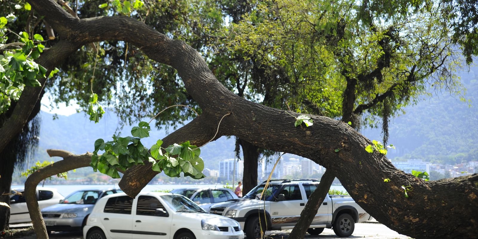 Cidades Verdes: mais de 320 projetos buscam R$ 14,6 bi em ações climáticas urbanas