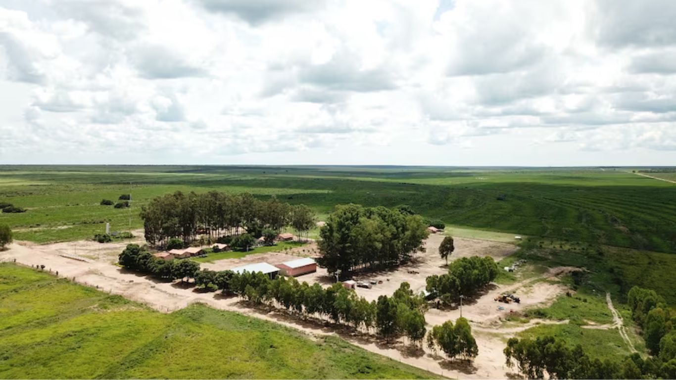 Lefosse assessora BrasilAgro na venda das fazendas Preferência e Sanconrado
