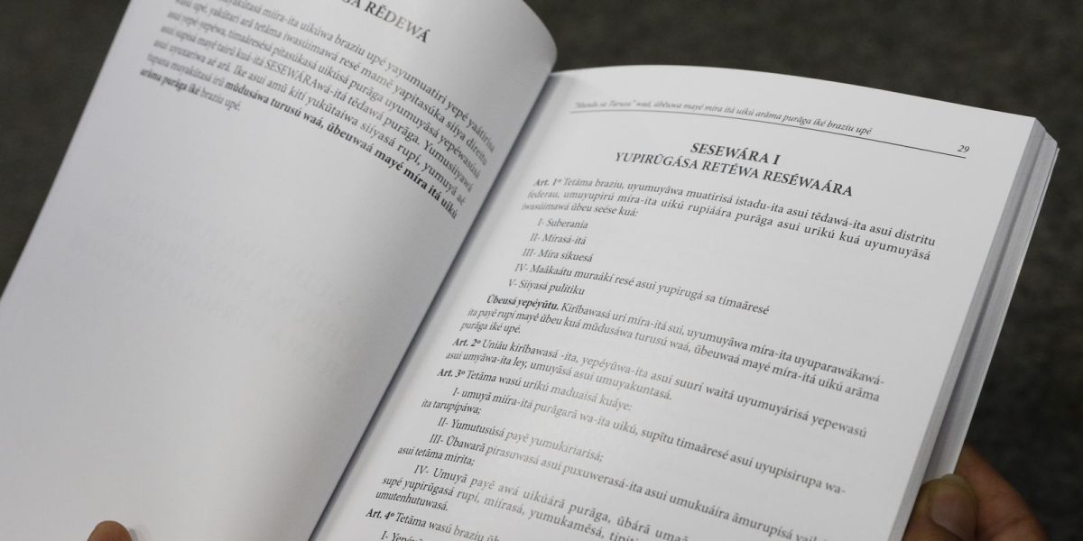 Censo aponta aumento de 47% no número de falantes de línguas indígenas no Brasil