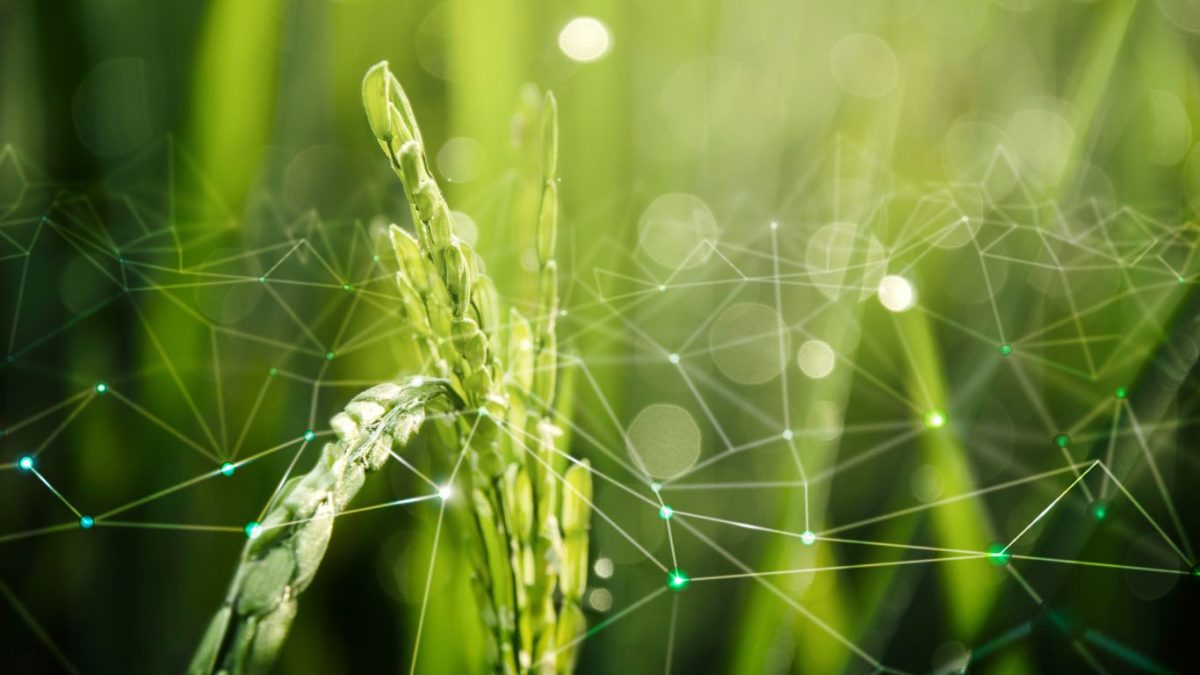 VBSO e Cescon Barrieu estruturam o Fiagro Terrax Vintage da Riza Asset Management