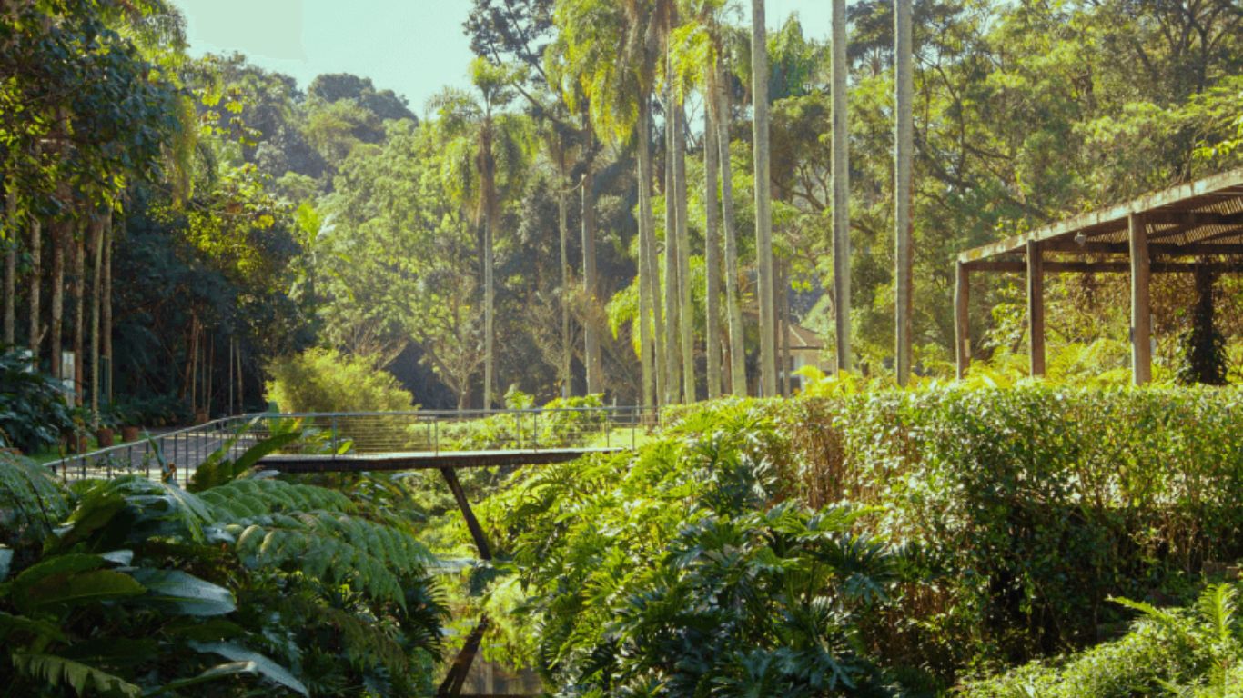 Landi Rodrigues e Cescon Barrieu assessoram emissão de R$ 127 milhões da Reserva Paulista