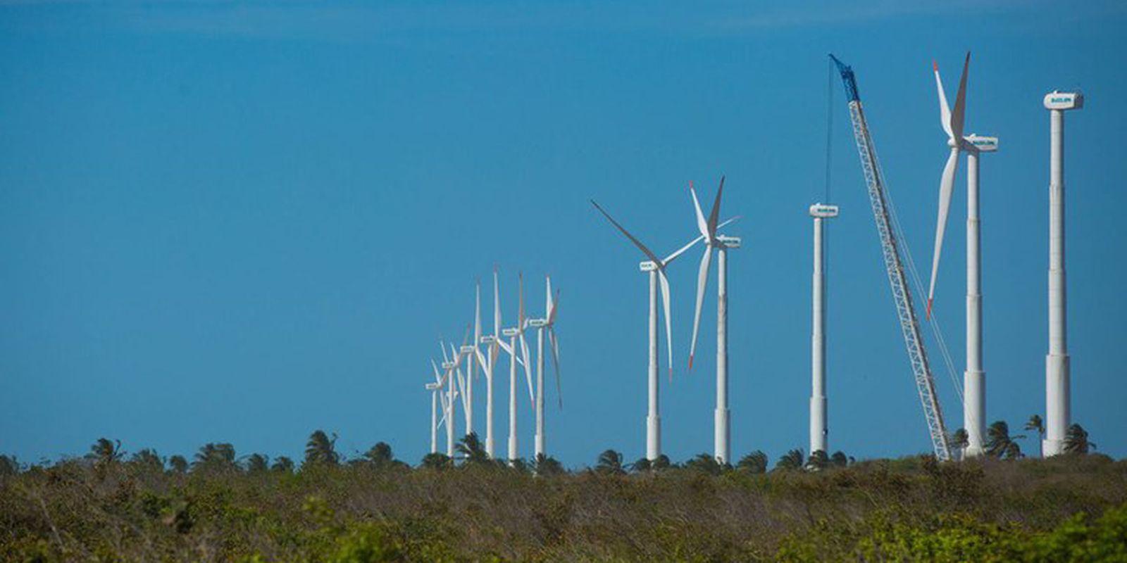 Nordeste lança plano conjunto para impulsionar transição ecológica e economia verde