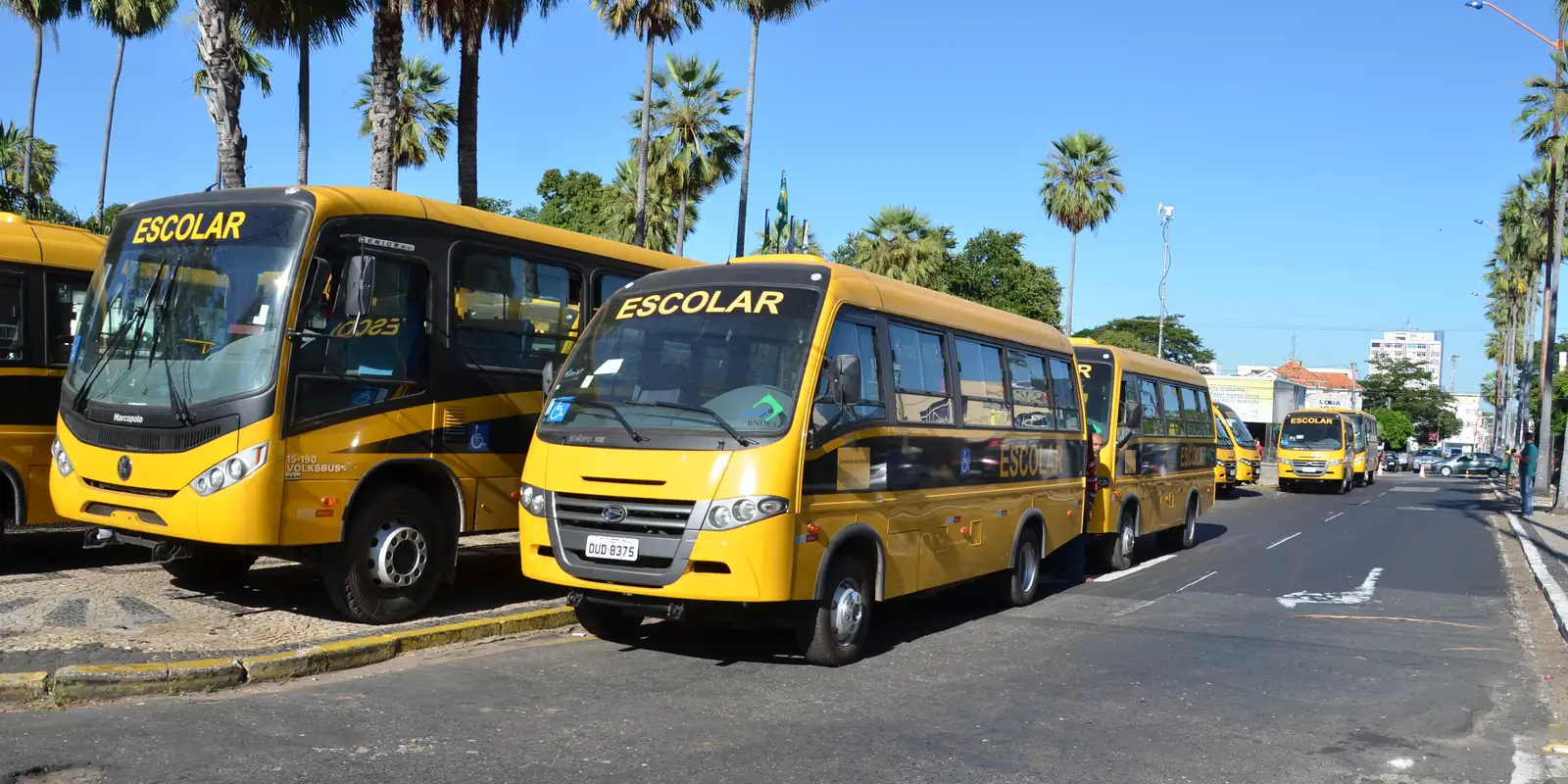 Nova lei amplia recursos para transporte e alimentação escolar