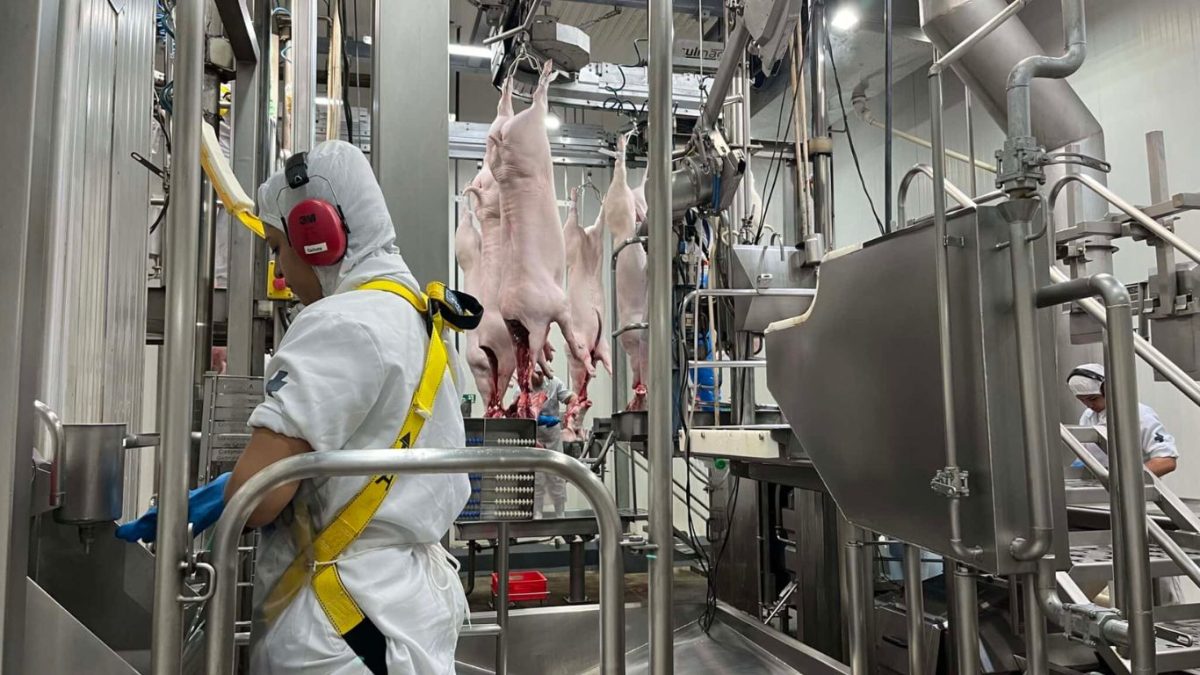 Dias Carneiro Advogados assessora emissão de notas comerciais da Agra Agroindustrial