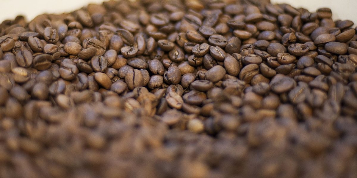 Brasil deve ter safra recorde de café com alta de 17% em 2026