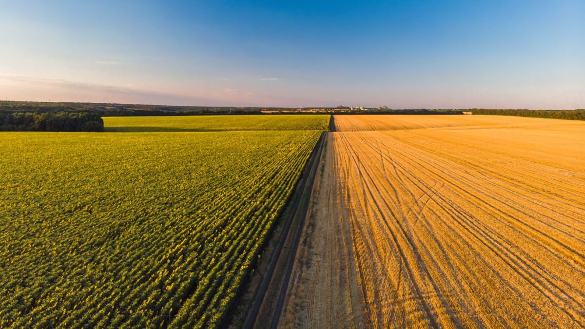 Trench Rossi Watanabe assessora BID Invest e FMO em investimento de US$ 56 milhões em CRA do agronegócio