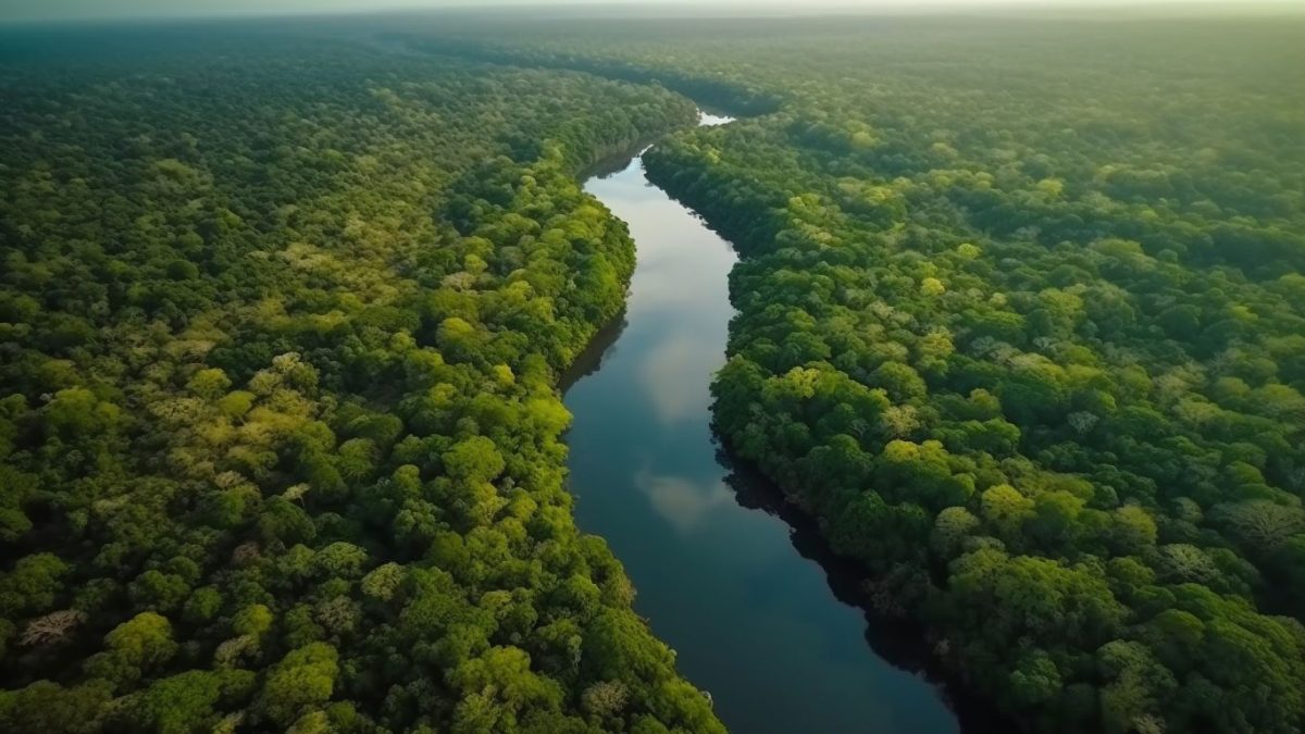 Alemanha anuncia aporte de 1 bilhão de euros para fundo de florestas