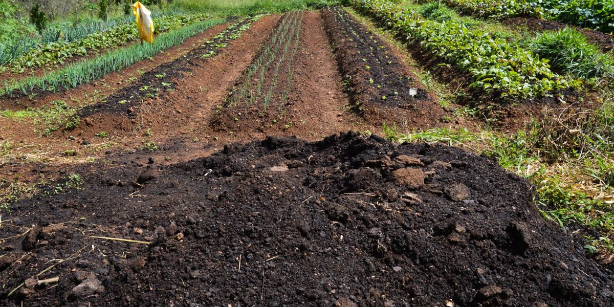Conselho Monetário Nacional aprova pacote para socorrer produtor rural