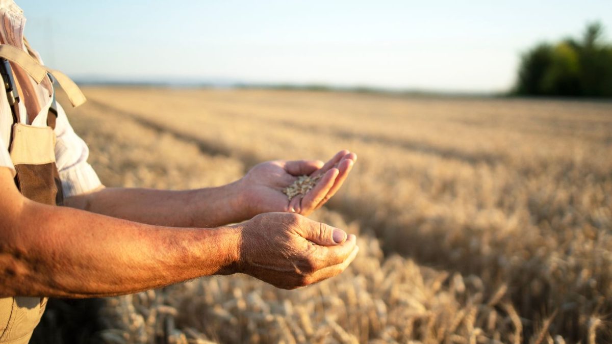 Recuperação judicial no agronegócio cresce 150% e bate recorde no 3º trimestre