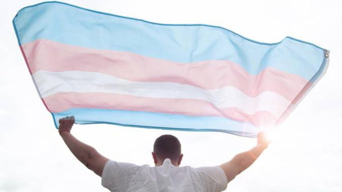 Dia da Visibilidade Trans destaca luta contra violência e por inclusão no trabalho