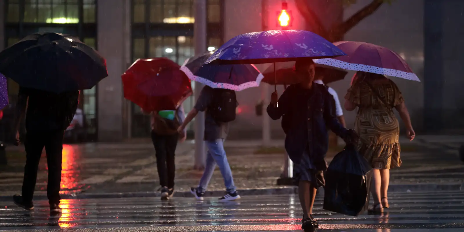 Chuva intensa no Sul e Sudeste eleva risco de temporais e alagamentos