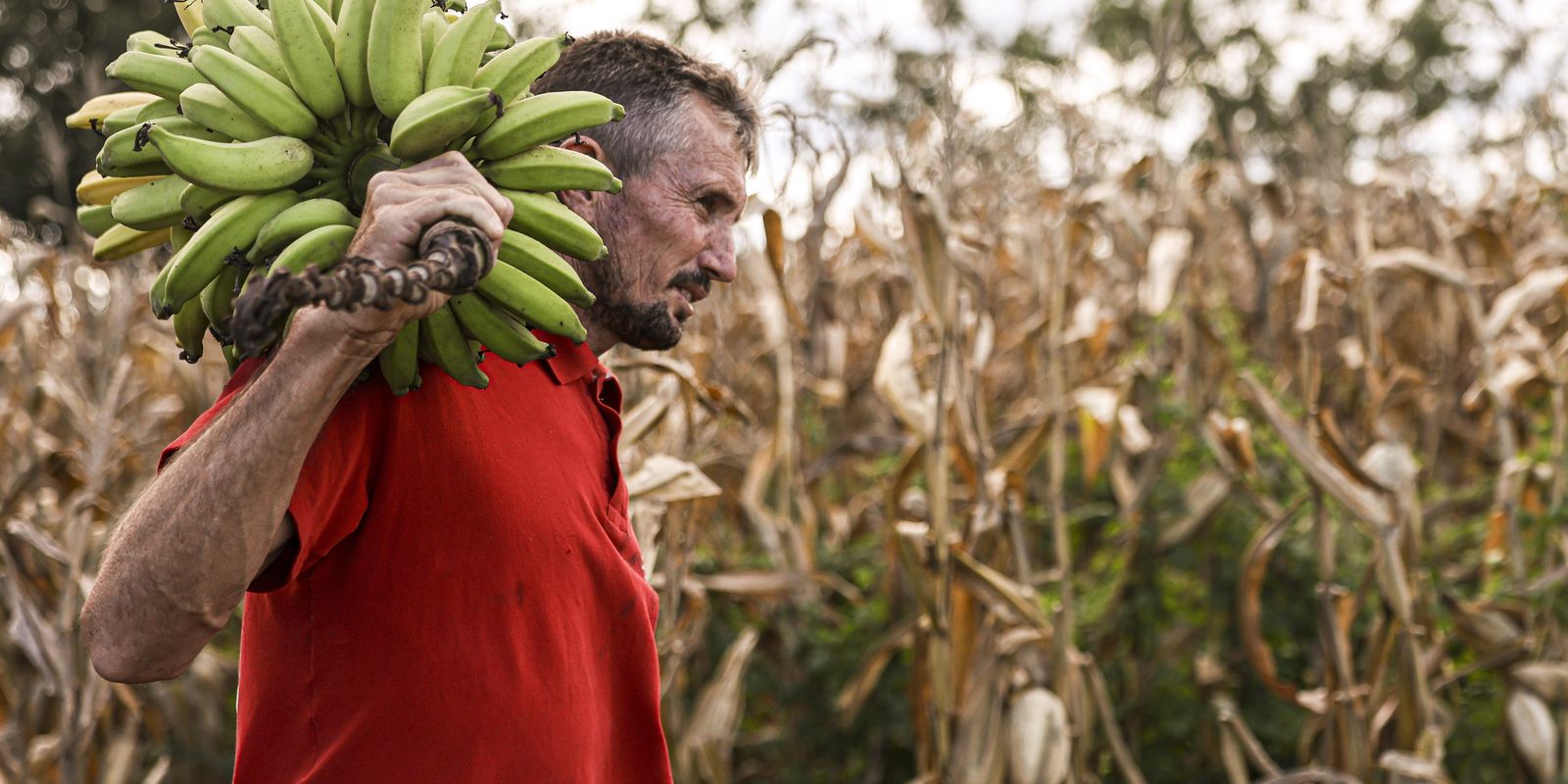 Câmara aprova uso de recursos do fundo de pequenas empresas para crédito à agricultura familiar