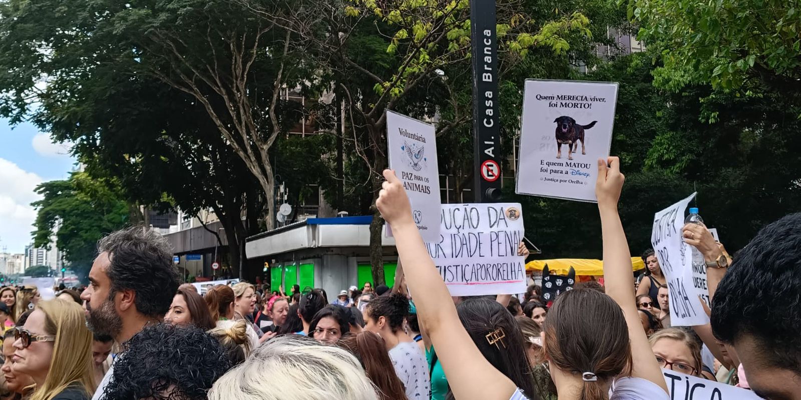 Protesto na Paulista cobra punição por morte de cão Orelha, torturado em SC